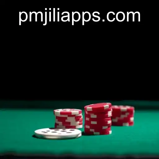 Exploring the Nuances of Responsible Gambling with PMJILI